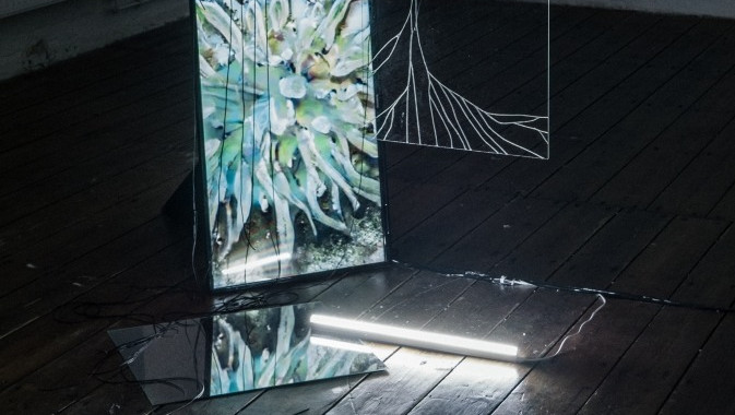 Decay of a Parasitic Apparition